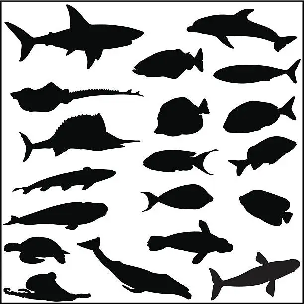 Vector illustration of Collection of many fish and sea life silhouettes