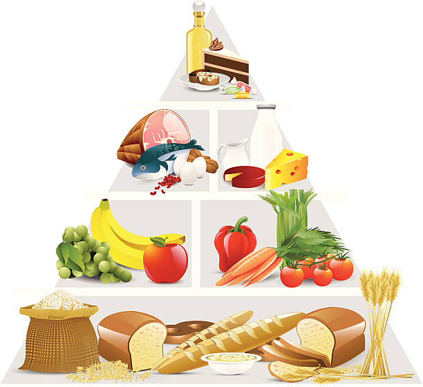 Piramida żywieniowa – artystyczna grafika wektorowa