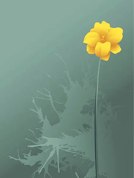 Vector illustration of one yellow flower