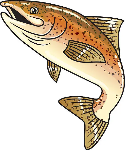 Vector illustration of Design of cartoonish brown spotted trout on white background