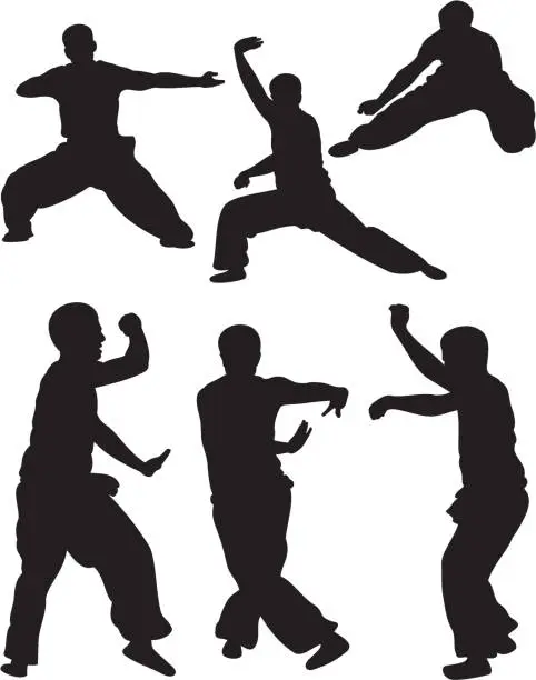 Vector illustration of Martial Arts Silhouette