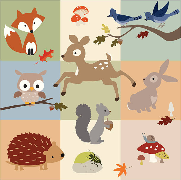 Forest Friends vector art illustration