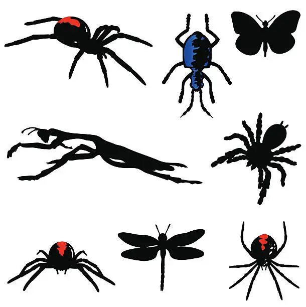 Vector illustration of Insect silhouettes with red and blue