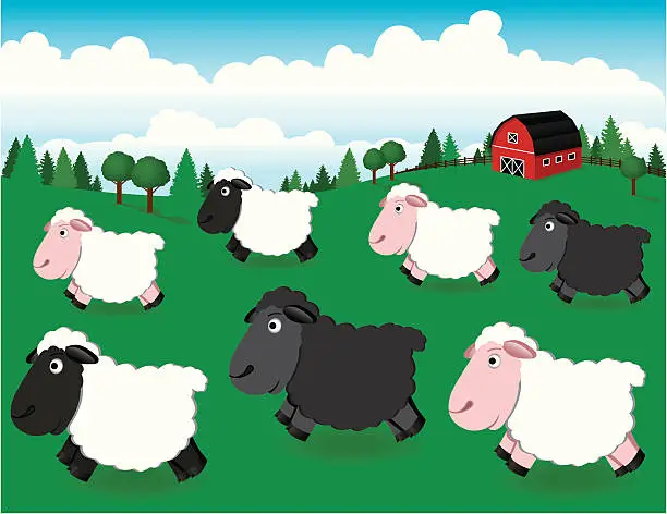 Vector illustration of Flock of Sheep on the Farm