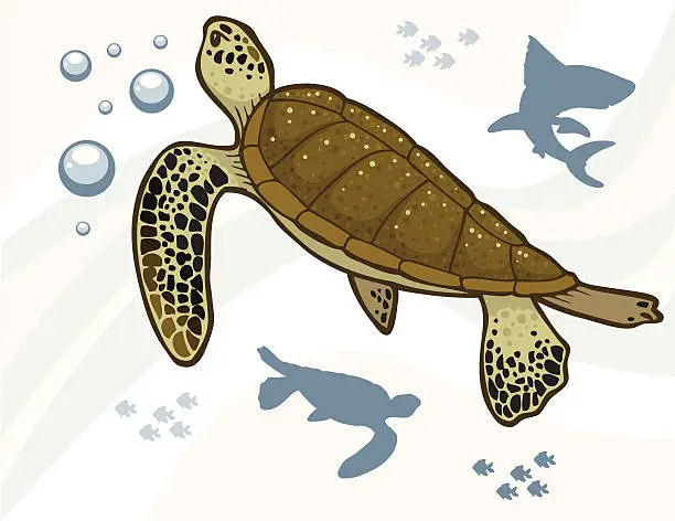 Vector illustration of Sea Turtles