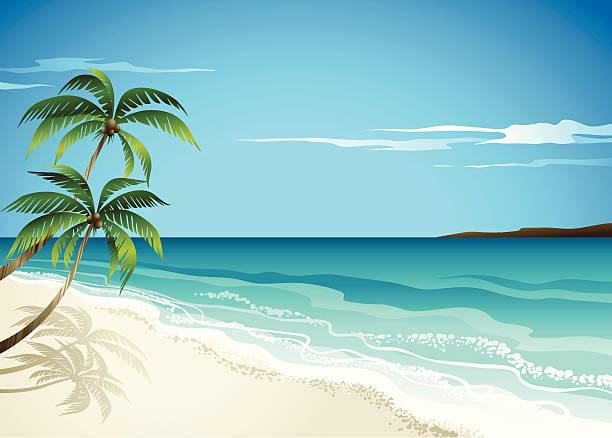 BeachScene A vector Illustration of beach scene and palm trees-great beach background. All elements are individual objects arranged on clearly labeled layers, used only gradient, global colors used. Hi res jpeg included. Click on view portfolio to see more of my illustrations. island illustrations stock illustrations