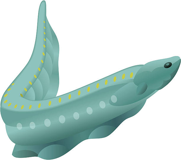 Electric Eel vector art illustration