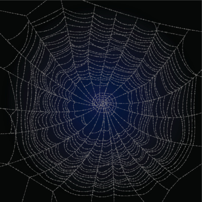 A beautiful vector illustration of spider's web full of dew drops