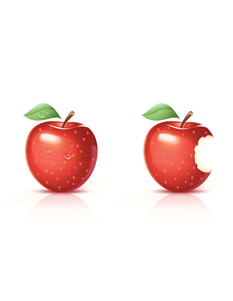 Red Apple vector art illustration