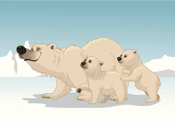 POLAR BEAR FAMILY vector art illustration