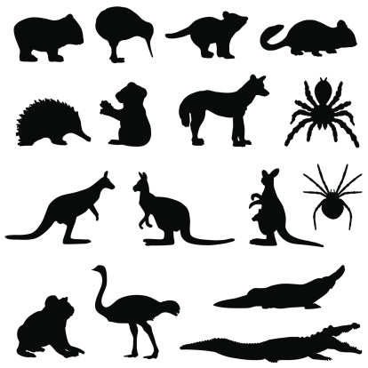 Australian animals in silhouette including a wombat, kiwi, tasmanian devil, possum,echidna,koala bear, dingo, spider, tarantula, kangaroo.