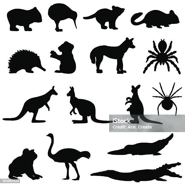 Australian Animals Silhouette Set Stock Illustration - Download Image Now - Kangaroo, In Silhouette, Vector