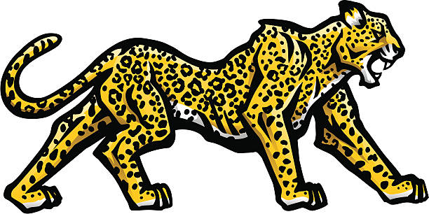 Leopard Stalking Leopard Stalking. 3 spot color plus black. Simple gradients and shapes for easy printing, separating and color changes. Major elements layered separately for easy editing. Black and white outline version also included. File formats: EPS and JPG cat stalker stock illustrations