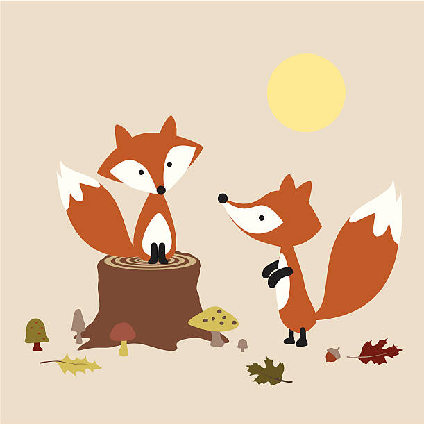 Pair of Foxes vector art illustration