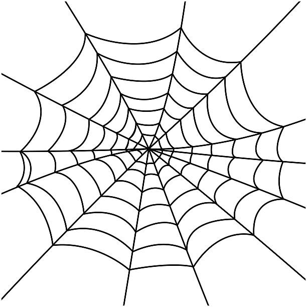 Spider Web Stock Illustration - Download Image Now - Spider Web, Vector,  White Background - iStock