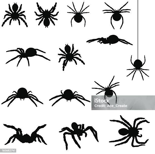 Spider Silhouette Collection Stock Illustration - Download Image Now - Spider, Vector, Tarantula