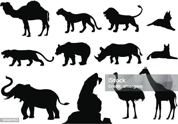 Vetores de Os Animais e mais imagens de Silhueta - Silhueta, Urso, Camelo - Camelídeos