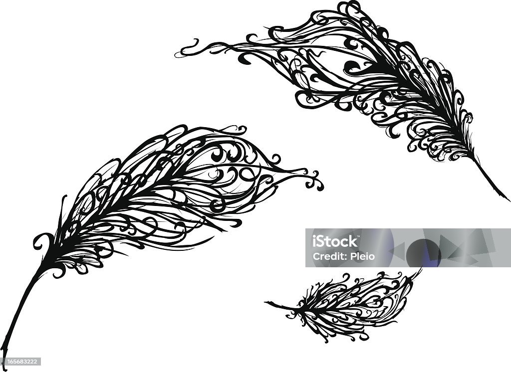 Decoración elegante con estilo de plumas de pavo ilustraciones blanco y negro - arte vectorial de Etéreo - Descripción física libre de derechos
