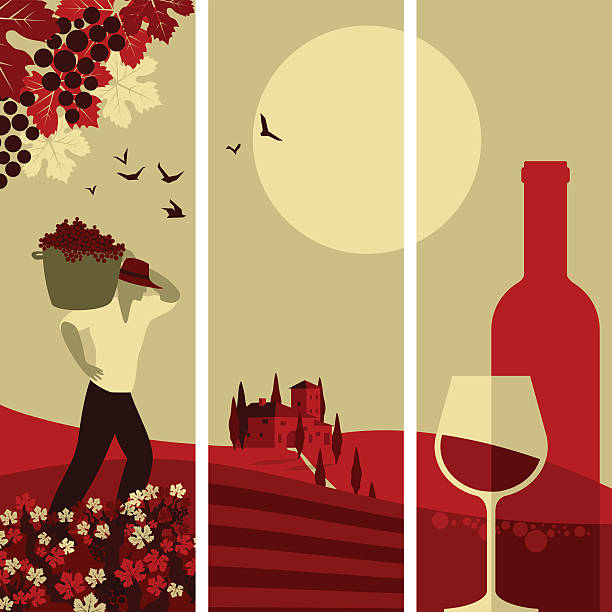 Vino de banners - ilustración de arte vectorial