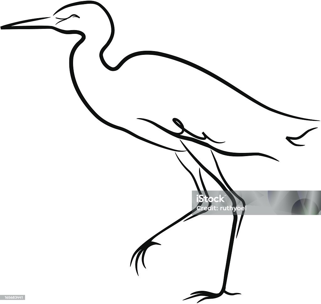 Reihergattung Egretta - Lizenzfrei Lineart Vektorgrafik