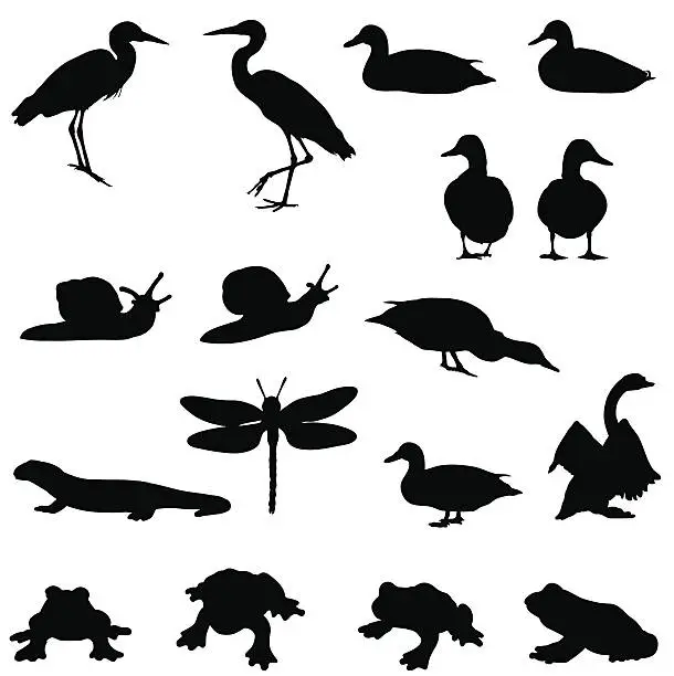 Vector illustration of Pond life silhouettes