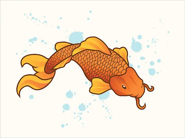 Vector illustration of Koi