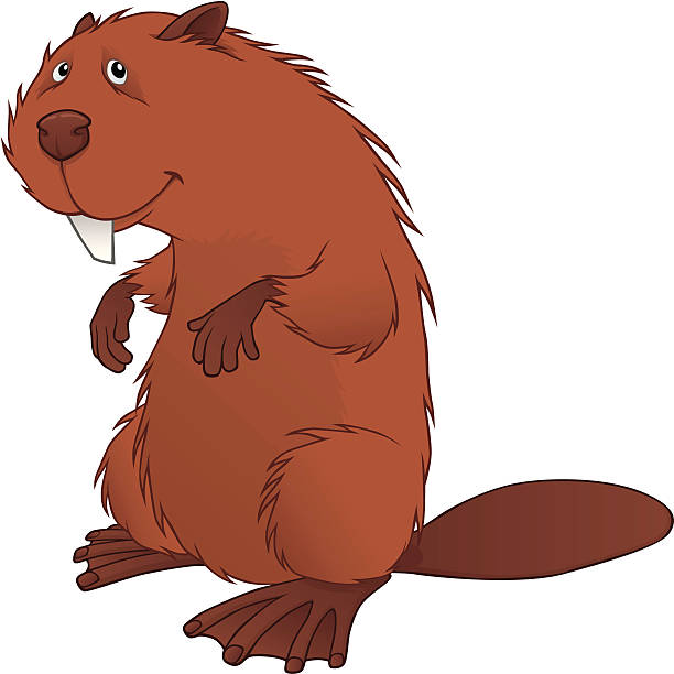Beaver vector art illustration