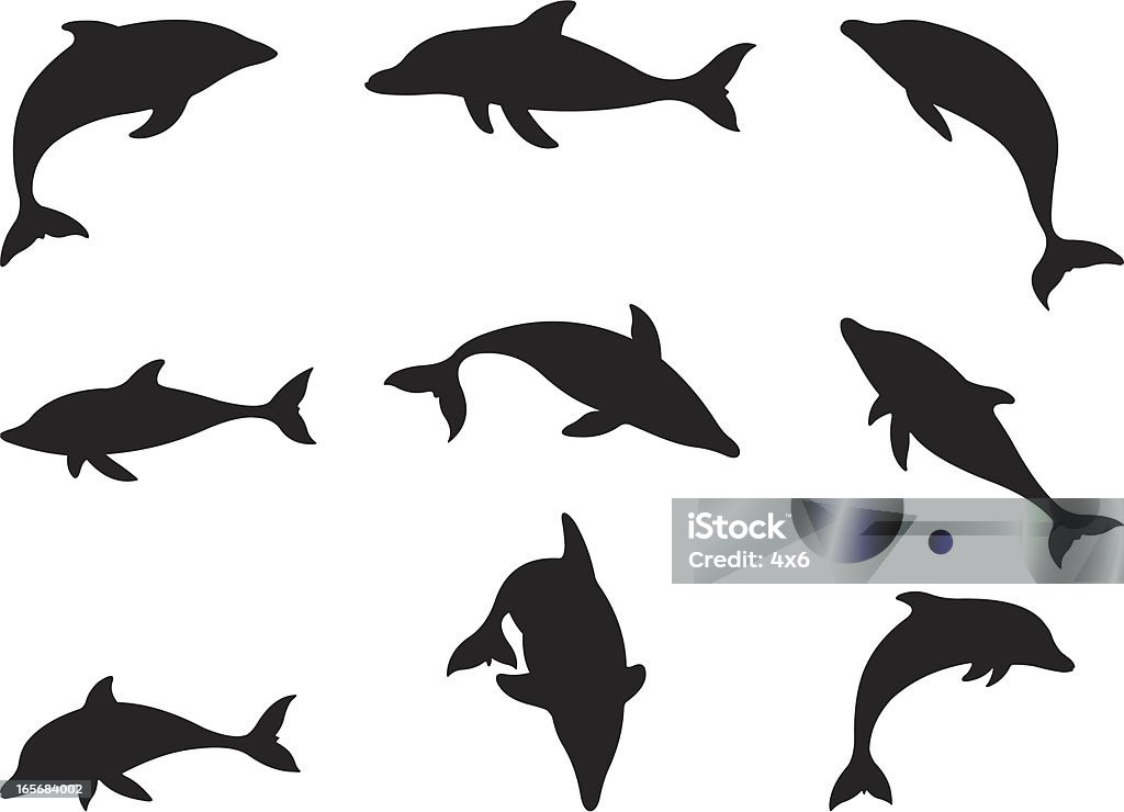 Dolphins in action Dolphin stock vector