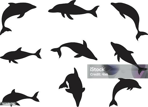 Dolphins In Action Stock Illustration - Download Image Now - Dolphin, Vector, Illustration