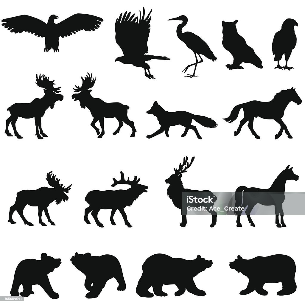 Large Woodland Animal Silhouette Set Stock Illustration - Download Image  Now - Fox, Moose, Vector - iStock