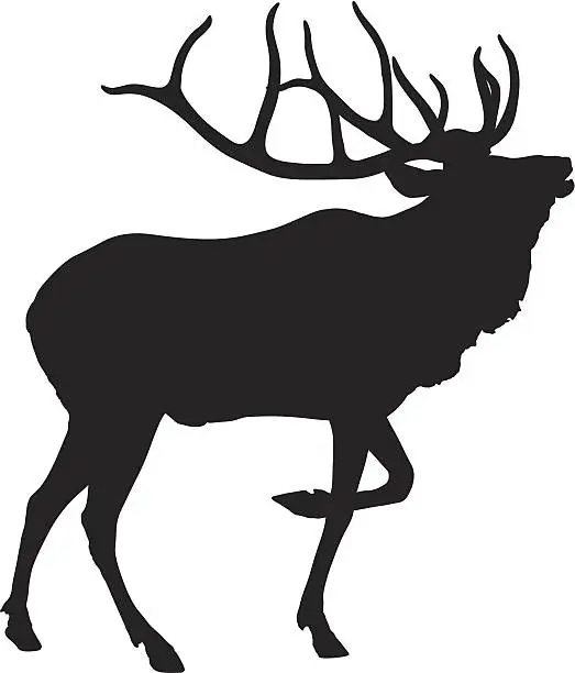 Vector illustration of Elk bull making a mating call