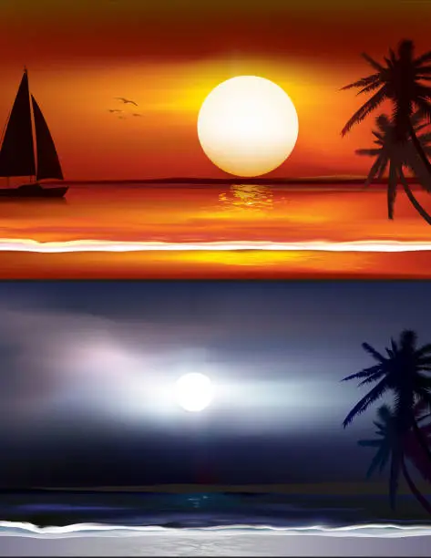 Vector illustration of Day and Night on a beach
