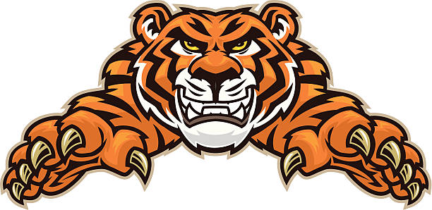 Tiger Leap This leaping Tiger mascot was created with separate hands and head. tiger mascot stock illustrations