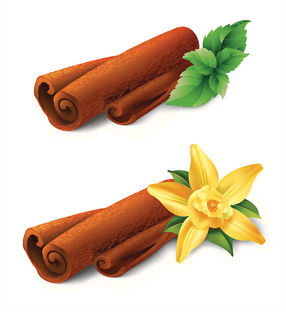ilustraciones, imágenes clip art, dibujos animados e iconos de stock de cinnamon wit vainilla y mint - rollos de canela