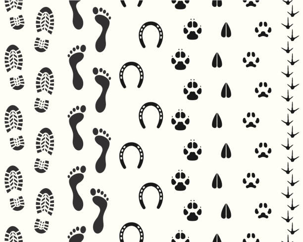 illustrazioni stock, clip art, cartoni animati e icone di tendenza di tracce di animali e umane senza soluzione di continuità - boot prints