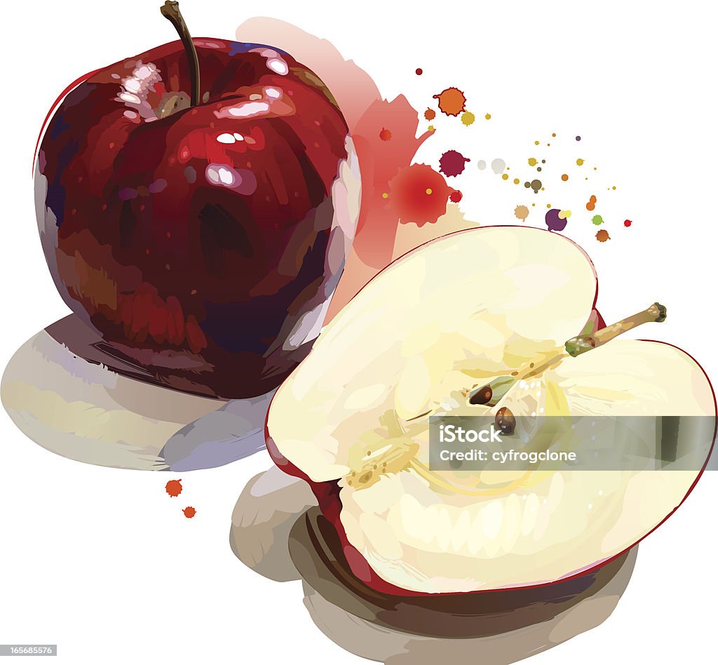 Red apple Fine illustration shown an red apple / cut section with painting stroke style Apple Juice stock vector