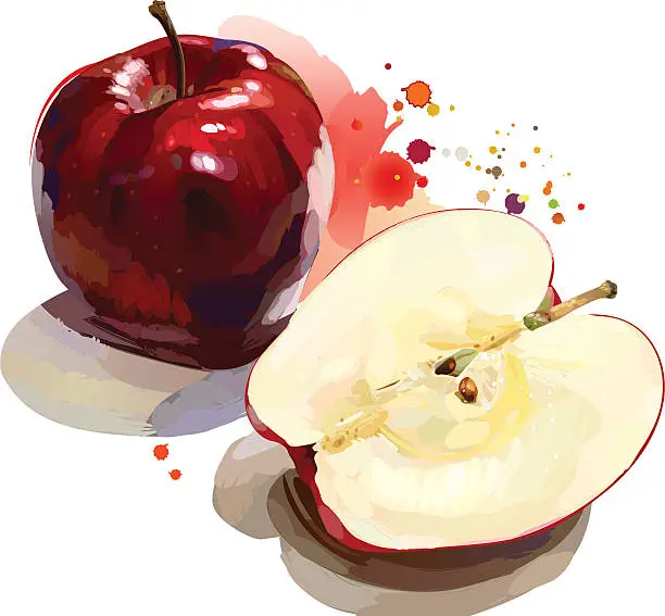 Vector illustration of Red apple