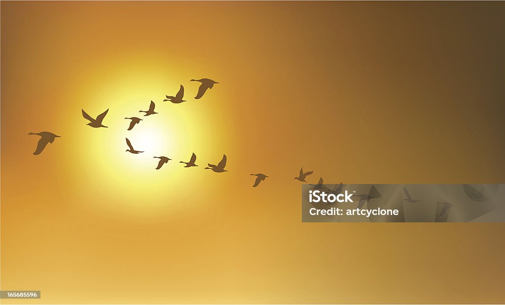 Migration Birds or Geese A group of birds or geese flying in the sunset sky Flying stock vector