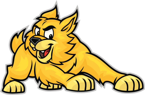 ilustraciones, imágenes clip art, dibujos animados e iconos de stock de mascot de los wildcats - gato montés