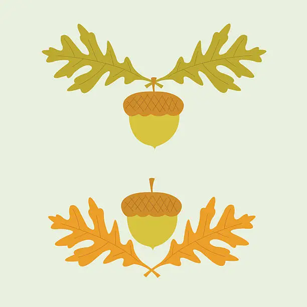 Vector illustration of Acorns and Oak Leaves