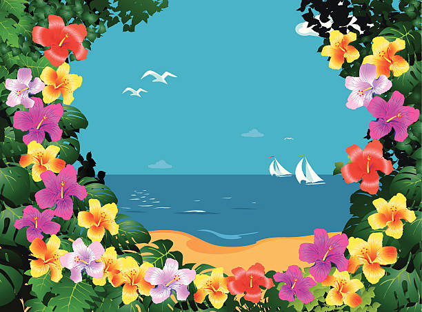 벨몬트에 시간 - color image colored background nautical vessel sea stock illustrations