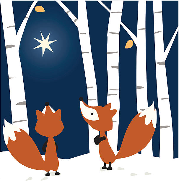 Foxes See the Star vector art illustration