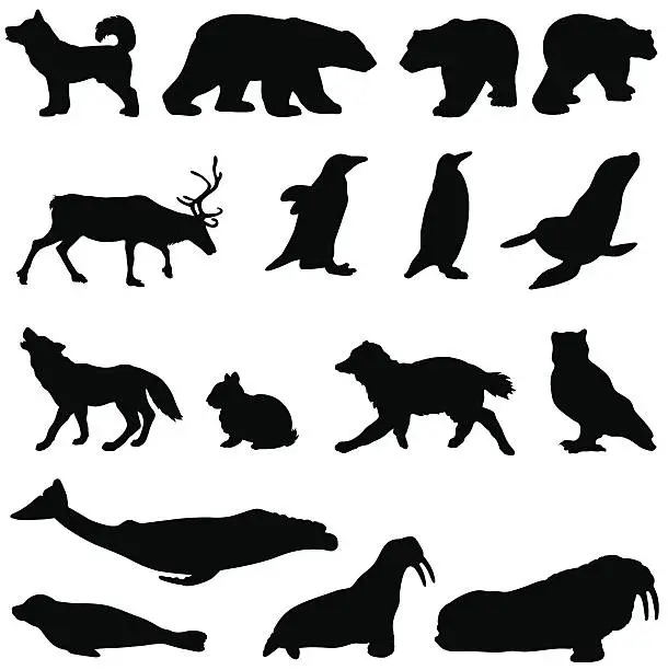 Vector illustration of Arctic animals in a silhouette set