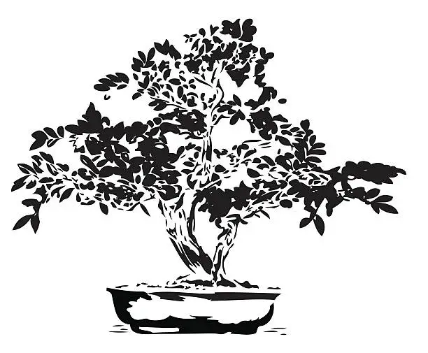 Vector illustration of Bonsai illustration in black lines