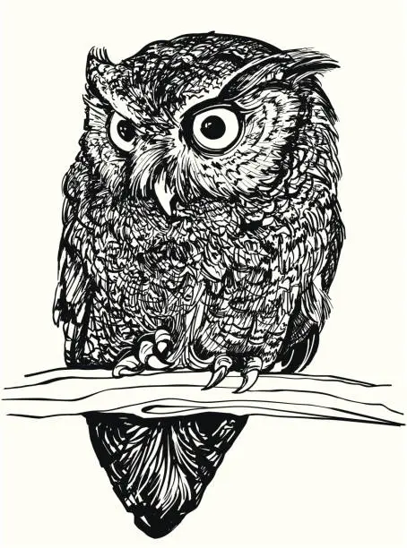 Vector illustration of Eastern Screech Owl