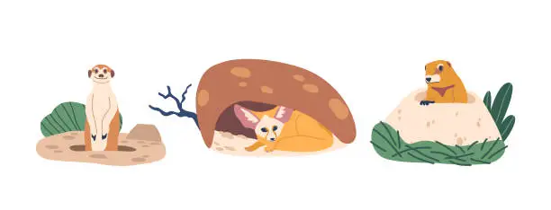 Vector illustration of Burrowing Animals Like Fennec, Desert-dwelling Fox With Large Ears. Meerkat, Social Mongoose Standing On Hind Legs