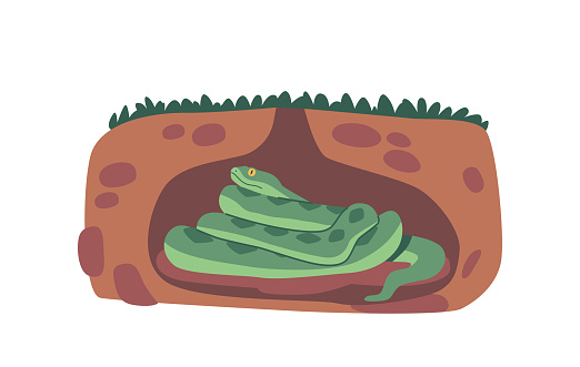 Snake In Burrow, Concealed Underground, The Snake Waits Patiently For Prey. Its Secretive Nature And Ambush Tactics Make It A Formidable Predator In Its Hidden Domain. Cartoon Vector Illustration