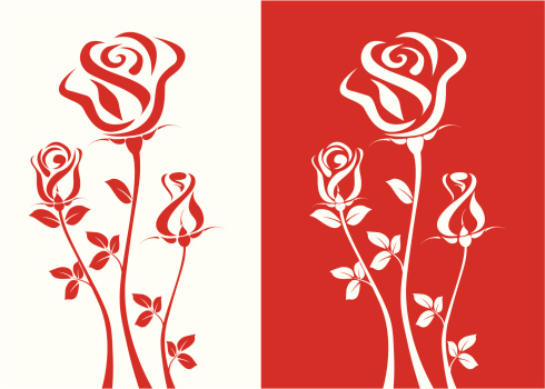 Vector illustration, three red roses on white background, and three white roses on red background. ZIP contains AI format and jpeg XLarge.