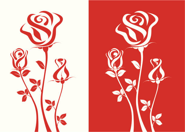 Three Roses Cartoon 540+ Three Roses Stock Illustrations, Royalty-Free Vector Graphics ...