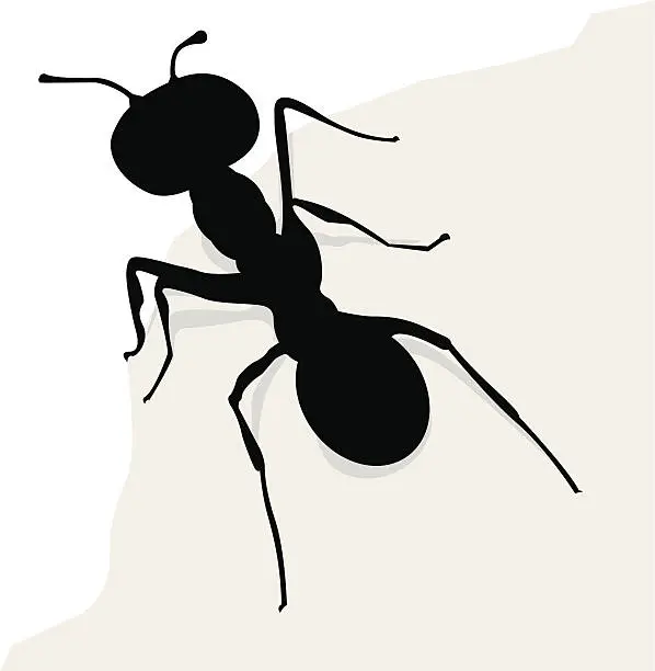 Vector illustration of ant
